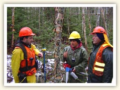 Forestry work